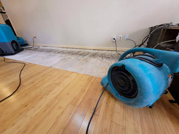 Professional Basement Flood Cleanup technician working in Flowood, MS